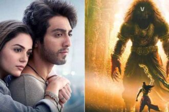 Box Office Collection